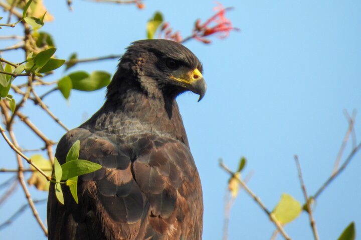 Full day Paraguay River Nature and Wildlife Boat Tour