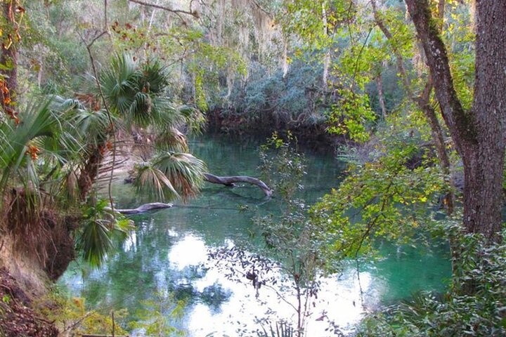 St. Johns River Cruise - Blue Spring State Park