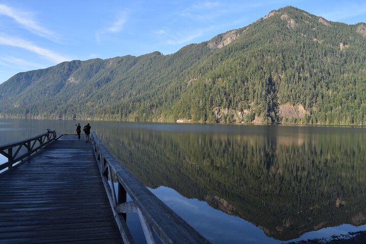 Half Day Guided Tour of Olympic National Park