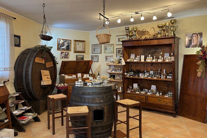 Truffle Hunting & Tasting in San Miniato Tuscany with Dogs
