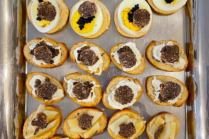 Truffle Hunting & Tasting in San Miniato Tuscany with Dogs