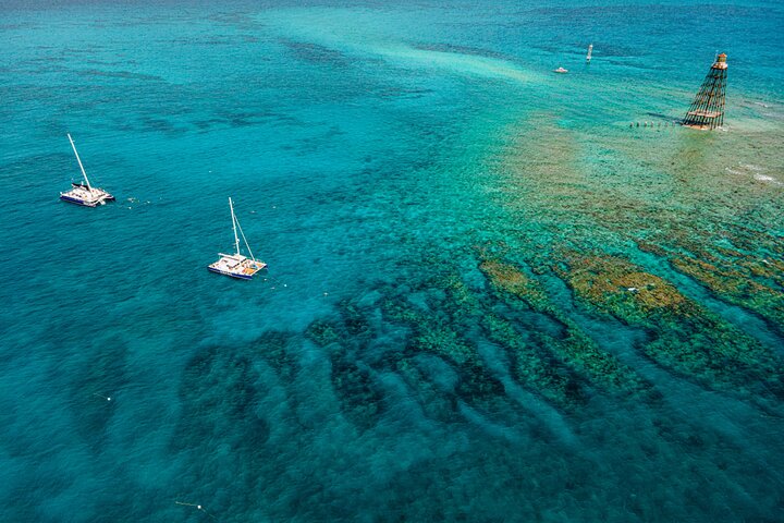 Key West Morning Snorkel Sail with Mimosas and Gourmet Breakfast