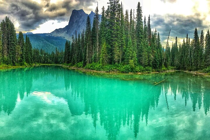 8 Iconic Stops. 12 Comfy Seats. See Banff's Best in First Class.