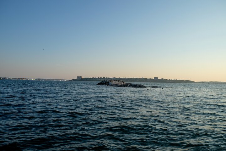 Small Group Sunset Lighthouse Boat Cruise With Local Drinks