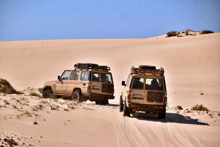 Boa Vista Jeep Expedition: Santa Monica & Desert (4-Hour)