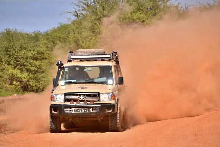 Boa Vista Jeep Expedition: Santa Monica & Desert (4-Hour)