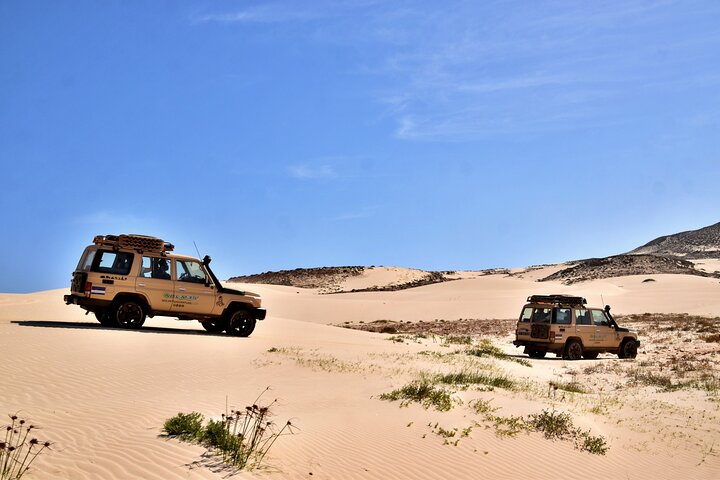 Boa Vista Jeep Expedition: Santa Monica & Desert (4-Hour)