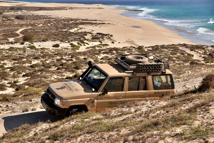 Boa Vista Jeep Expedition: Santa Monica & Desert (4-Hour)