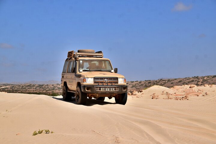 Boa Vista Jeep Expedition: Santa Monica & Desert (4-Hour)