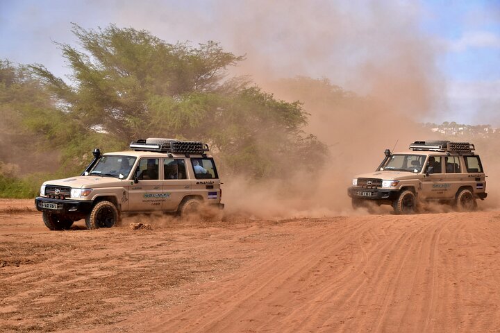 Boa Vista Jeep Expedition: Santa Monica & Desert (4-Hour)