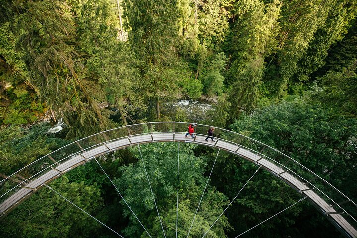 Capilano Suspension Bridge Park Ticket
