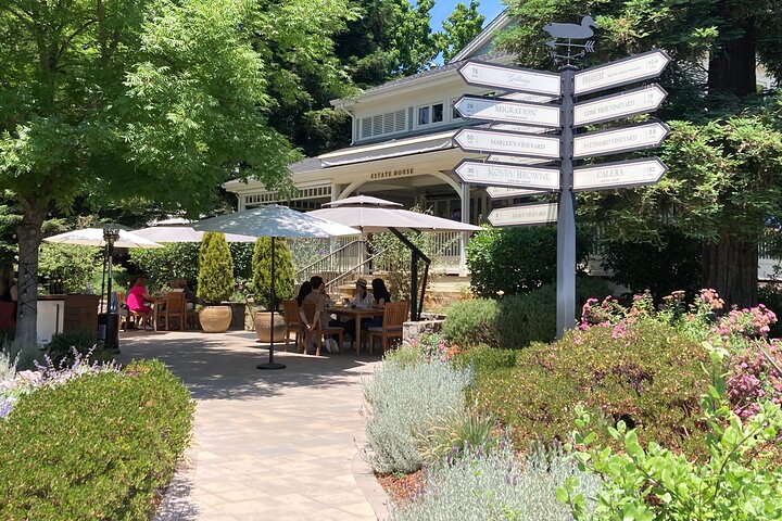 Fabulous Private Wine Tour of Napa & Sonoma: 2 to 5 People