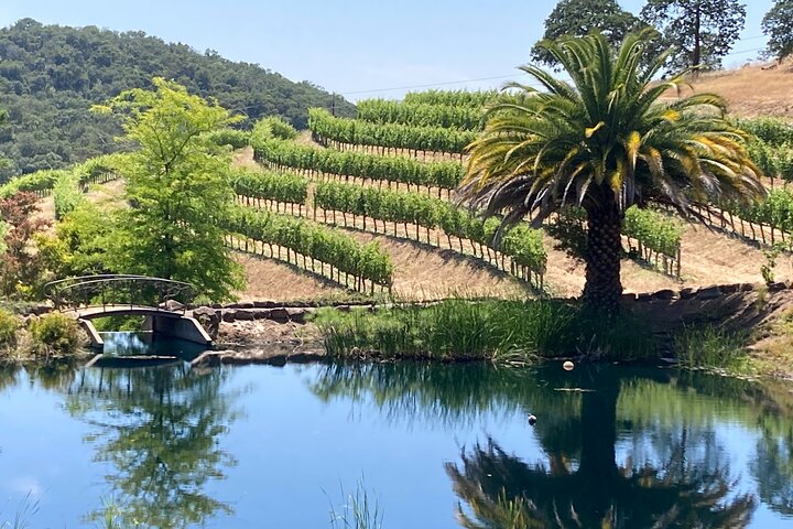 Fabulous Private Wine Tour of Napa & Sonoma: 2 to 5 People