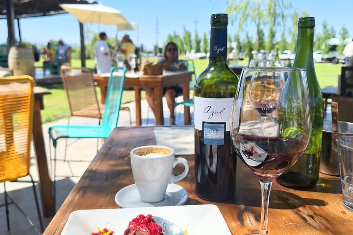Uco Valley Wineries Day with Private Driver