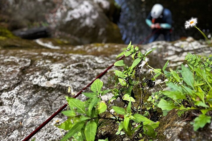 Canyonry in Canyon del Infiernillo, Queretaro