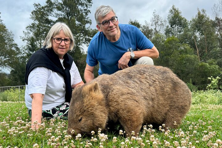 WILD Wombat and Kangaroo Day Tour, All Inclusive