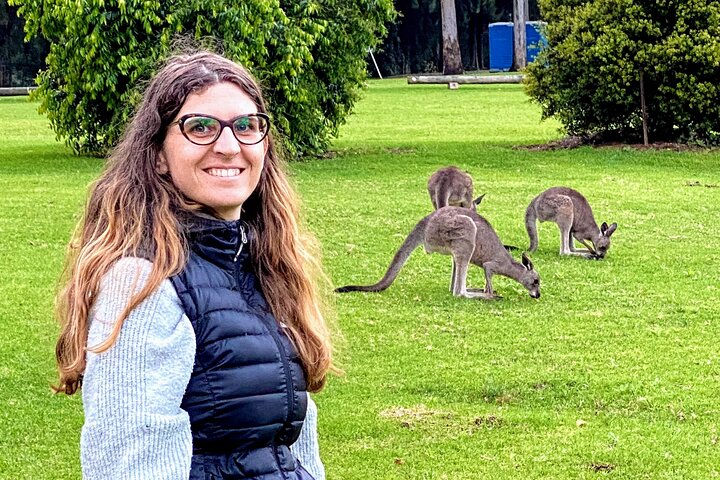 WILD Wombat and Kangaroo Day Tour, All Inclusive