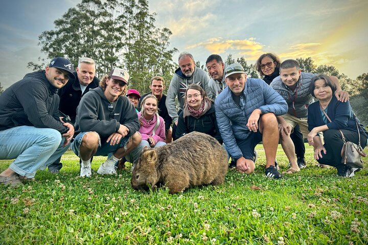 WILD Wombat and Kangaroo Day Tour, All Inclusive