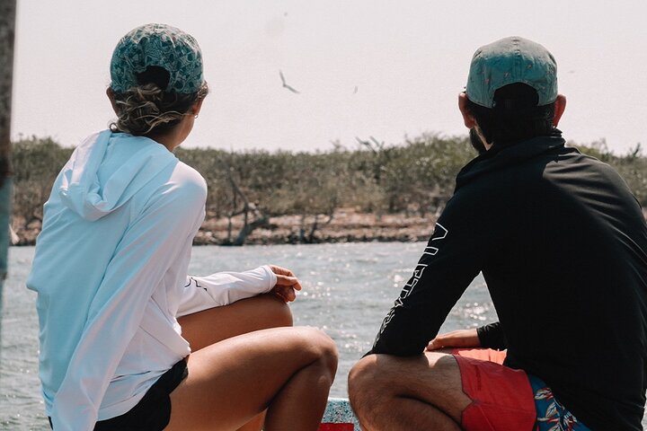 Boat tour in Río Lagartos Natural Reserve, with Food