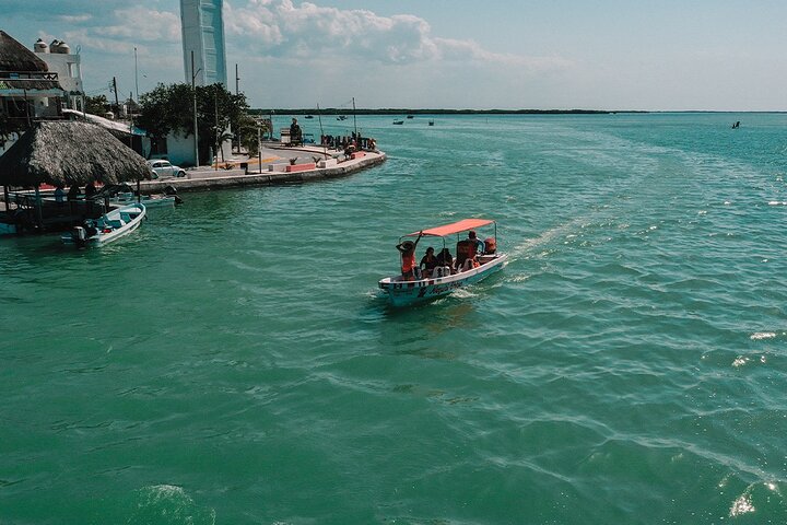 Boat tour in Río Lagartos Natural Reserve, with Food