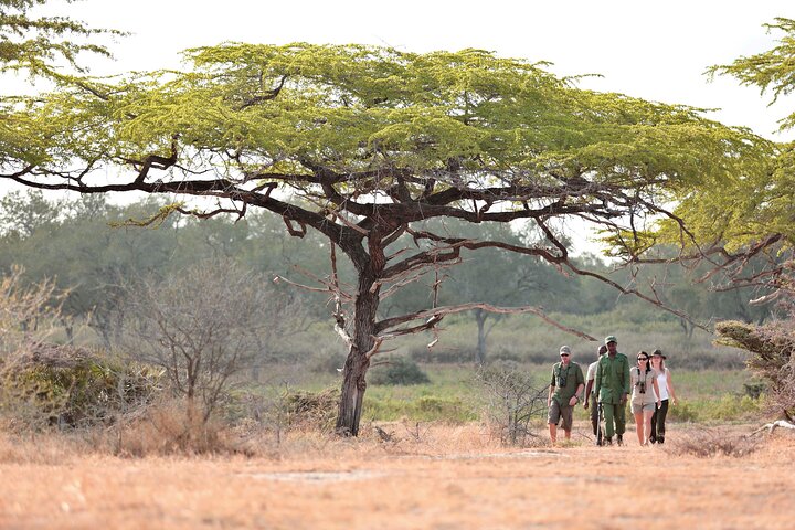 14-Day Coast to Savannah Southern Tanzania Safari