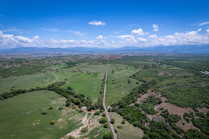 Community and Biodiversity Tour of the Tatacoa Desert from Neiva