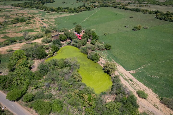 Community and Biodiversity Tour of the Tatacoa Desert from Neiva