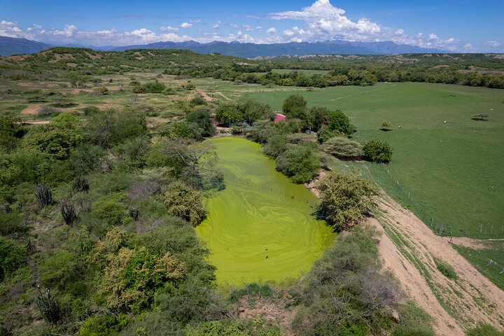 Community and Biodiversity Tour of the Tatacoa Desert from Neiva