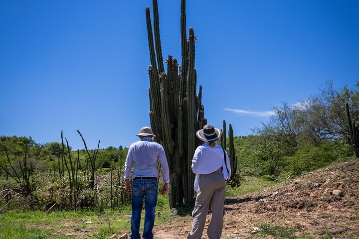 Community and Biodiversity Tour of the Tatacoa Desert from Neiva