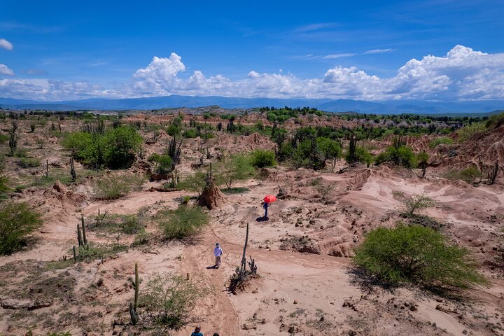 Community and Biodiversity Tour of the Tatacoa Desert from Neiva