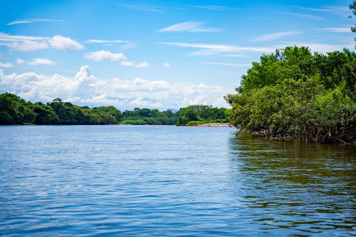 Community and Biodiversity Tour of the Tatacoa Desert from Neiva