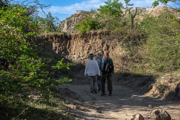 Community and Biodiversity Tour of the Tatacoa Desert from Neiva