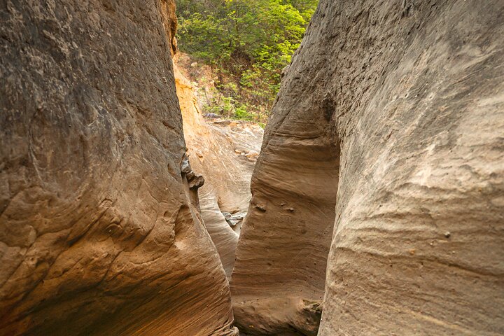 Community and Biodiversity Tour of the Tatacoa Desert from Neiva
