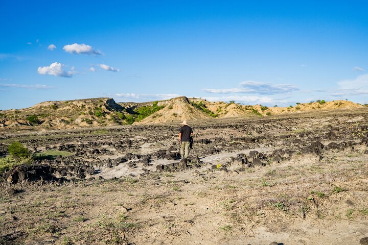 Community and Biodiversity Tour of the Tatacoa Desert from Neiva