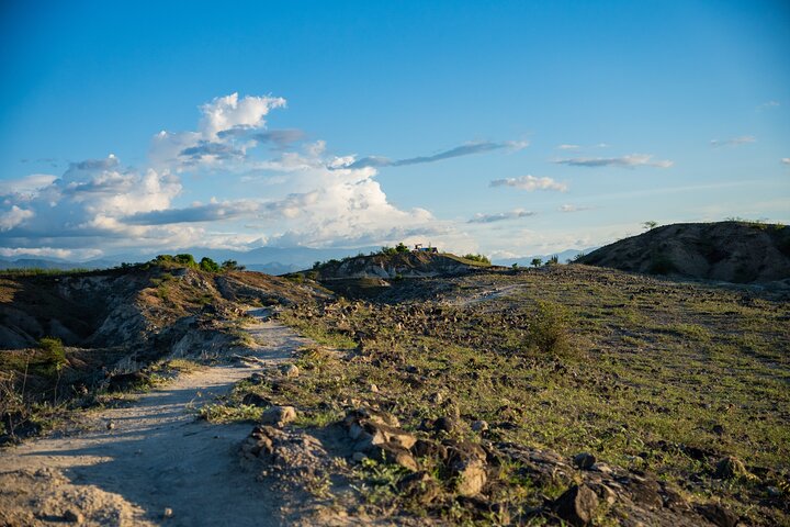 Community and Biodiversity Tour of the Tatacoa Desert from Neiva