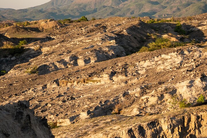 Community and Biodiversity Tour of the Tatacoa Desert from Neiva