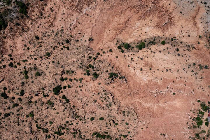 Community and Biodiversity Tour of the Tatacoa Desert from Neiva
