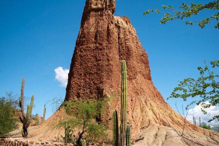 Community and Biodiversity Tour of the Tatacoa Desert from Neiva