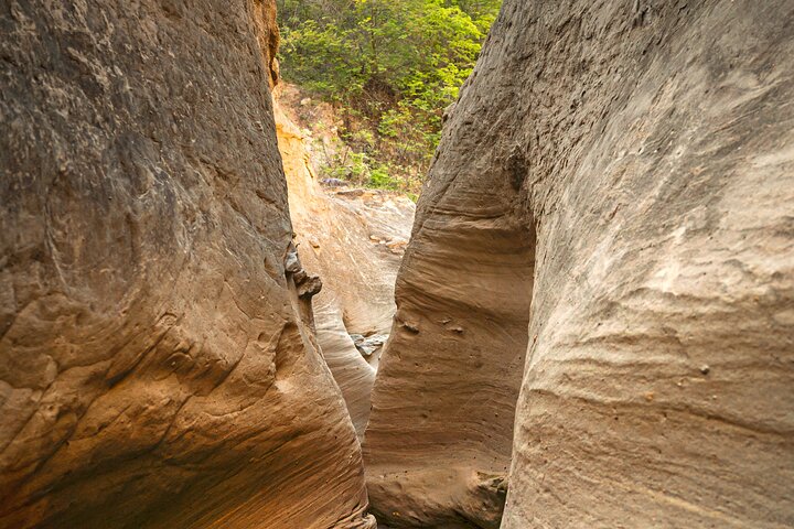 Community and Biodiversity Tour of the Tatacoa Desert from Neiva