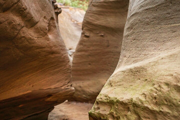 Community and Biodiversity Tour of the Tatacoa Desert from Neiva