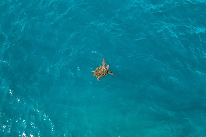 Kekova Private Tour by Boat