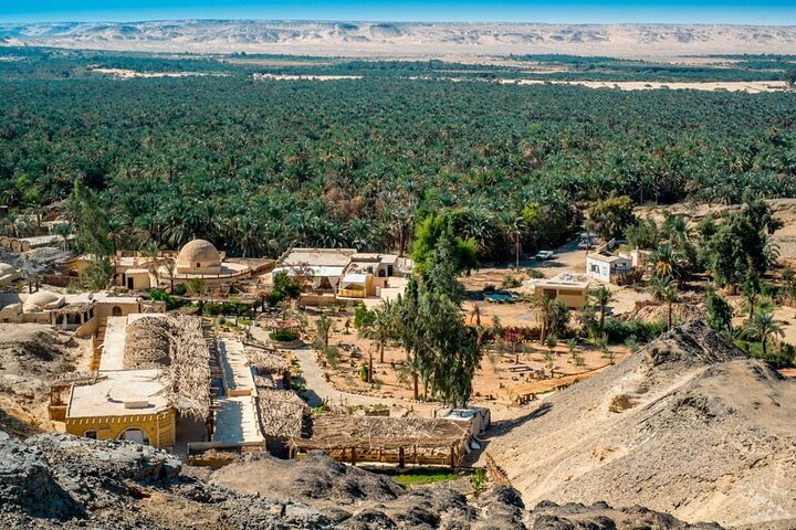 Private Tour to Fayoum Whales Valley & Wadi El Rayan from Cairo