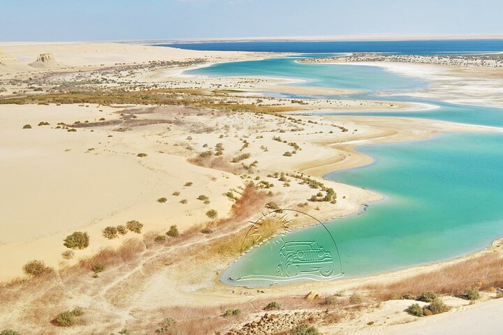 Private Tour to Fayoum Whales Valley & Wadi El Rayan from Cairo
