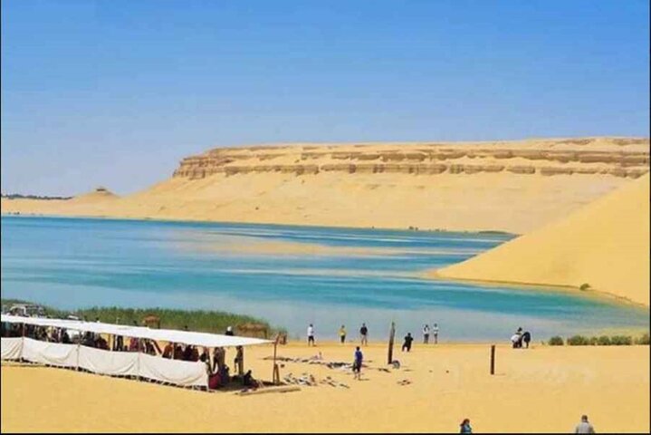 Private Tour to Fayoum Whales Valley & Wadi El Rayan from Cairo