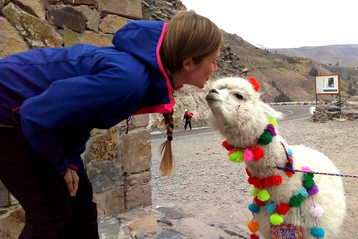 Colca Canyon Plus
