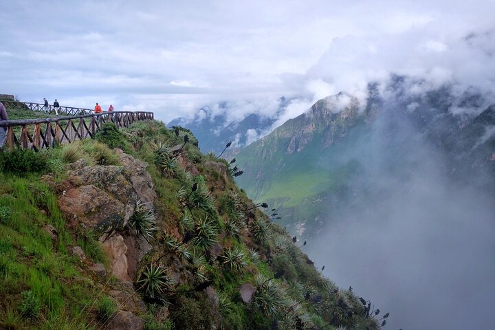 Colca Canyon Plus