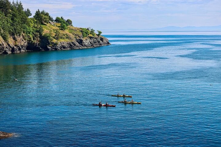 Full Day San Juan Island Kayaking Adventure