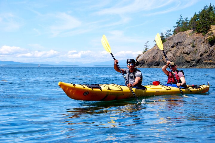 Full Day San Juan Island Kayaking Adventure
