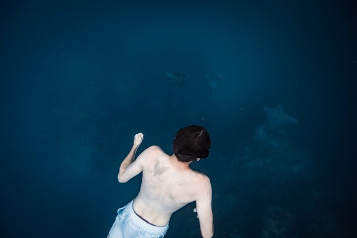 An Eagle Ray and Turtle Tour-Small Groups & Photography Included
