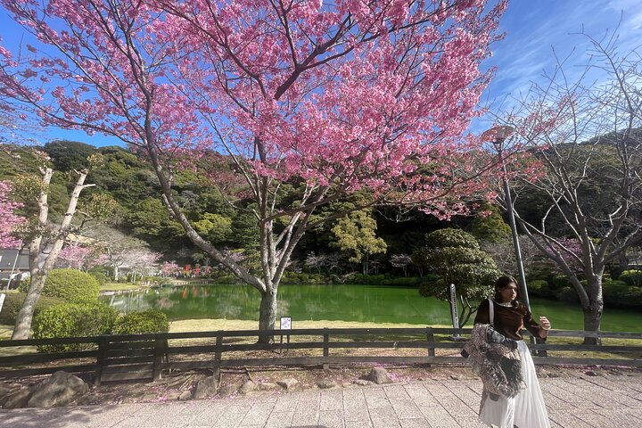 Hot Spring Beppu Onsen with Blue Hell cozy Tour by Car and walk